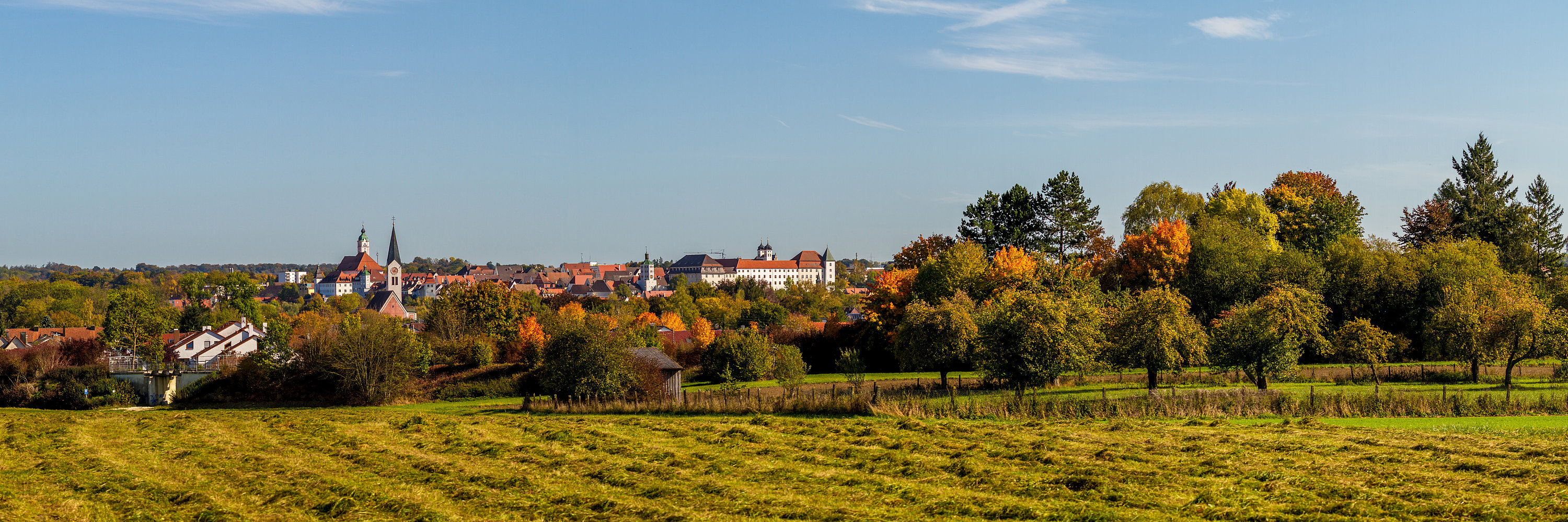 Stadtansicht von Leipheimer Feld. Foto: Philipp Röger für die Stadt Günzburg