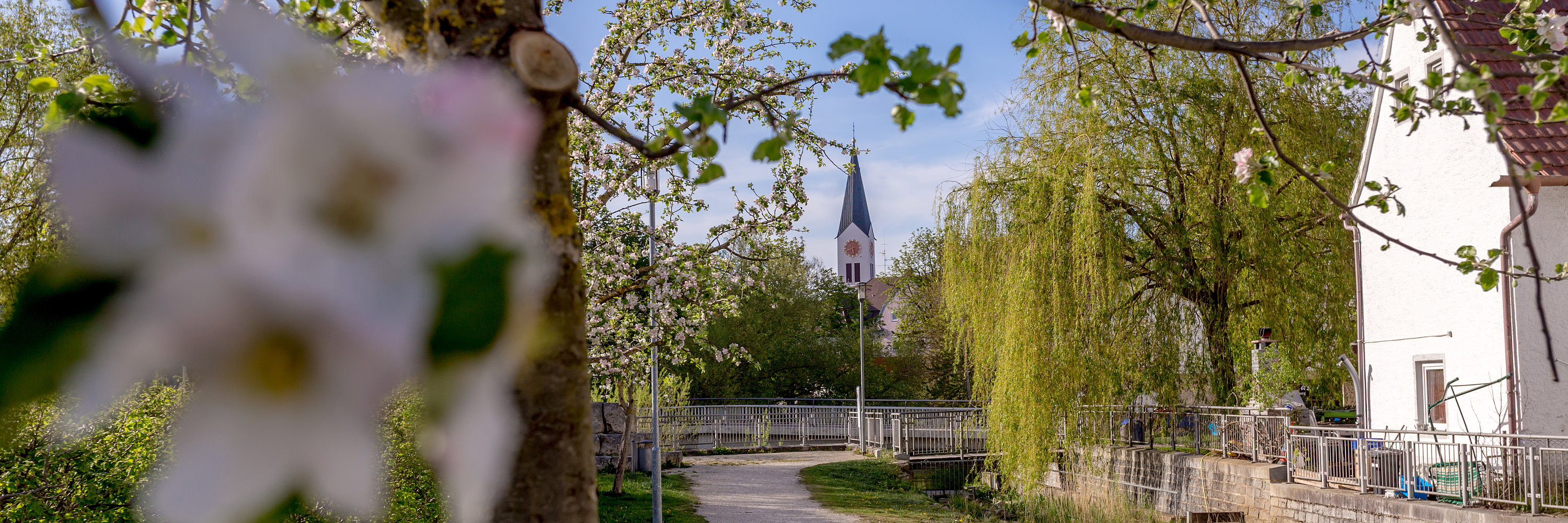 Spazierweg entlang der Günzaue: Foto: Philipp Röger für die Stadt Günzburg